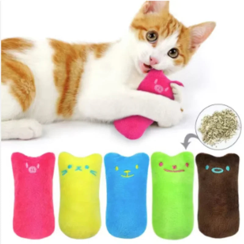 Jouets en peluche à l'herbe à chat pour chat