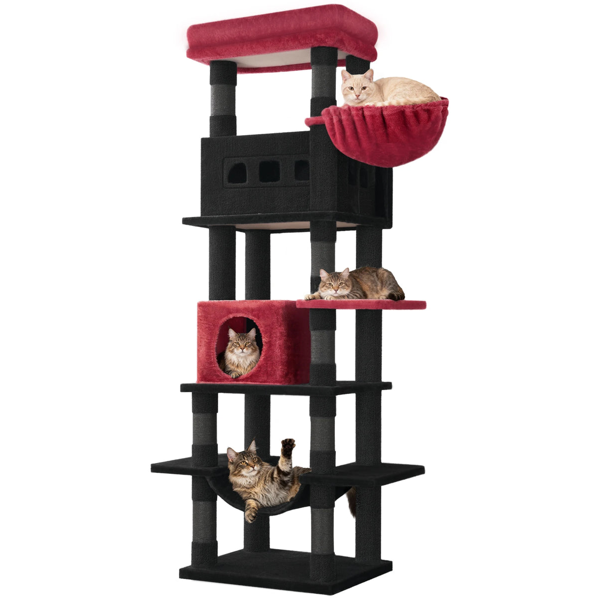 Arbre à chat 170 cm multi-niveaux — grand perchoir, coussin lavable – photo 12
