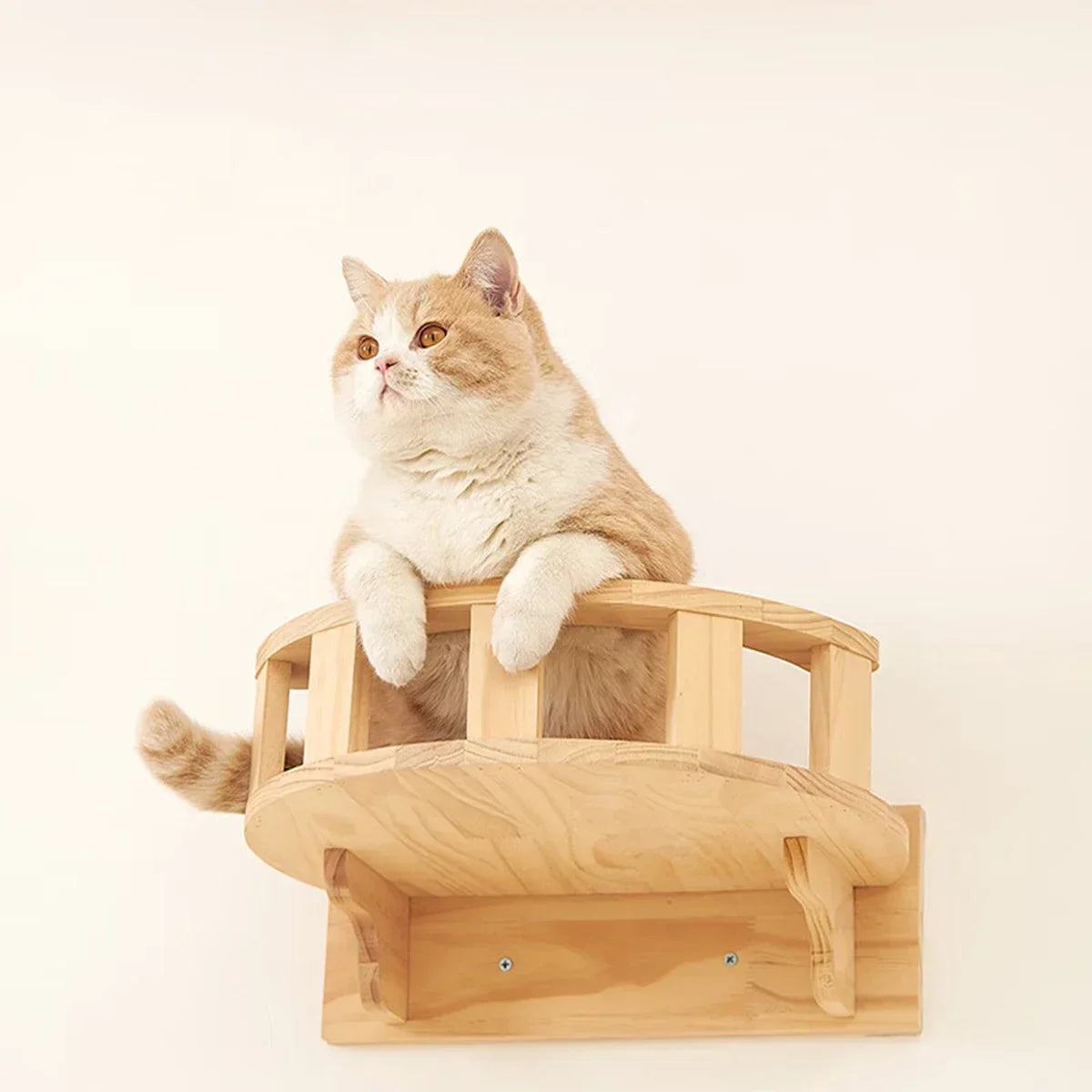 Parcours mural pour chat en bois — étagères d'escalade – photo 2