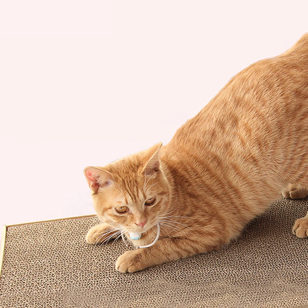 Recharge de griffoir en carton pour lit de chat — petit ou moyen – photo 2