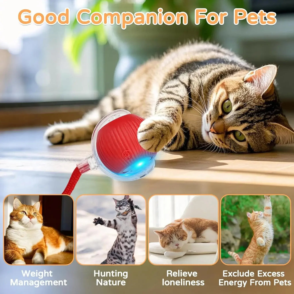 Balle interactive pour chat à roulement automatique — rechargeable – photo 3