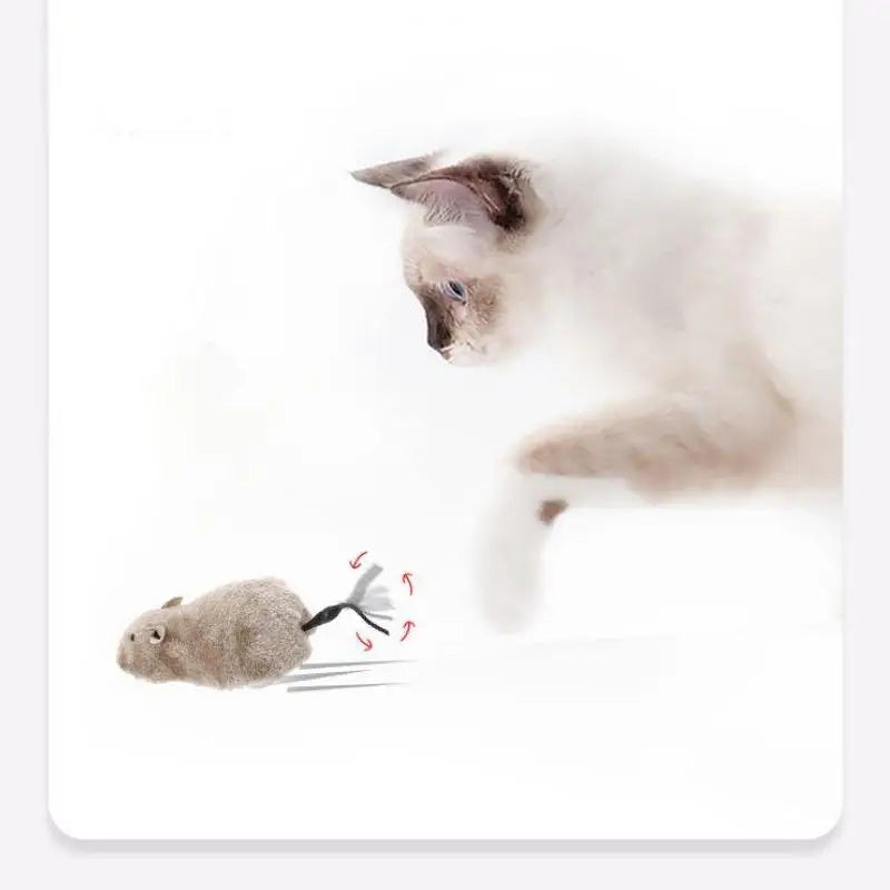 Souris en peluche réaliste pour chat — avec queue, expédiée de France – photo 2