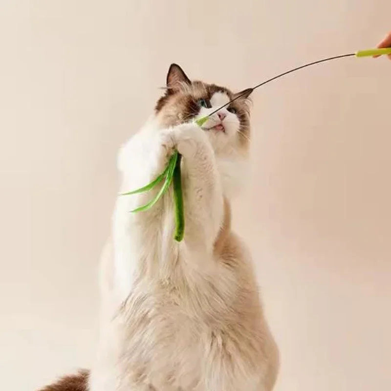 Canne à plumes pour chat — tige flexible en fil métallique – photo 4