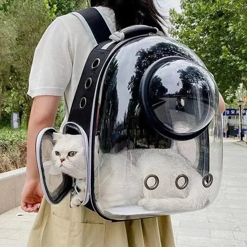 Sac à dos de transport pour chat à hublot transparent