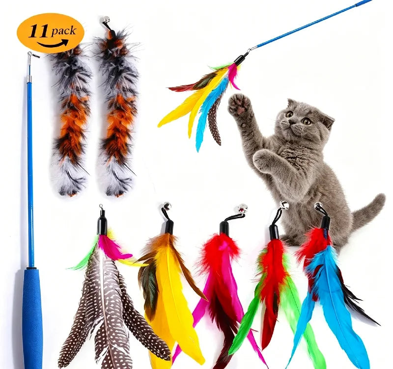 Recharges plumes pour canne à chat — lot de 11 têtes de rechange – photo 6