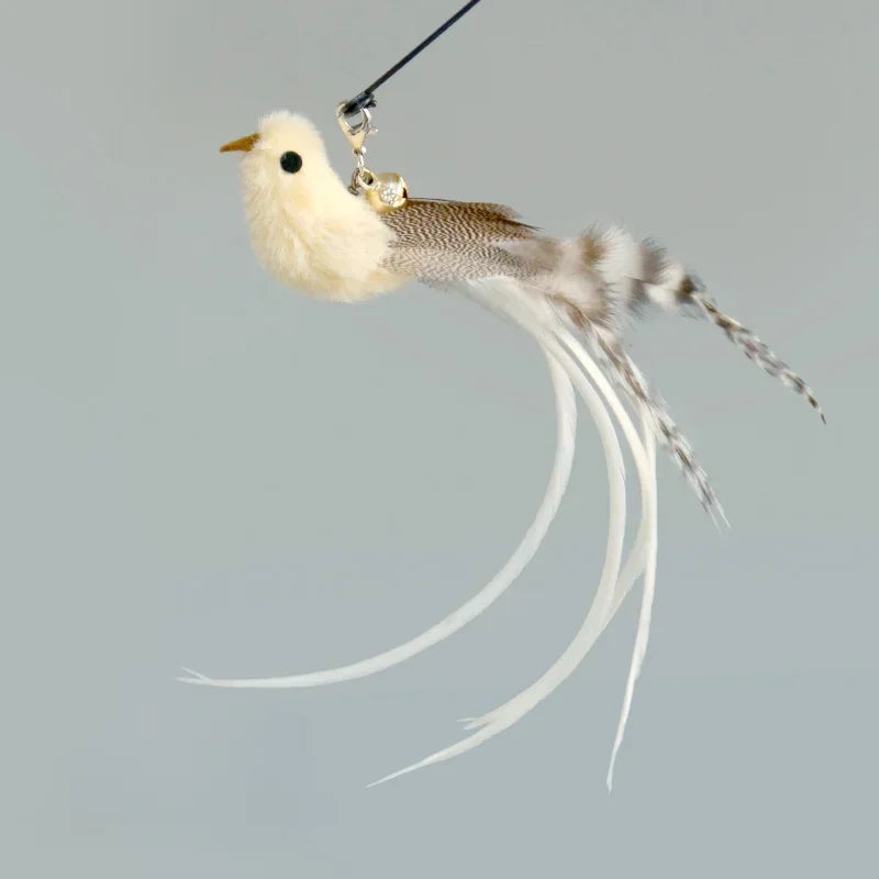 Recharges pour canne à chat — plumes, oiseaux, vers à grelot, balles – photo 31