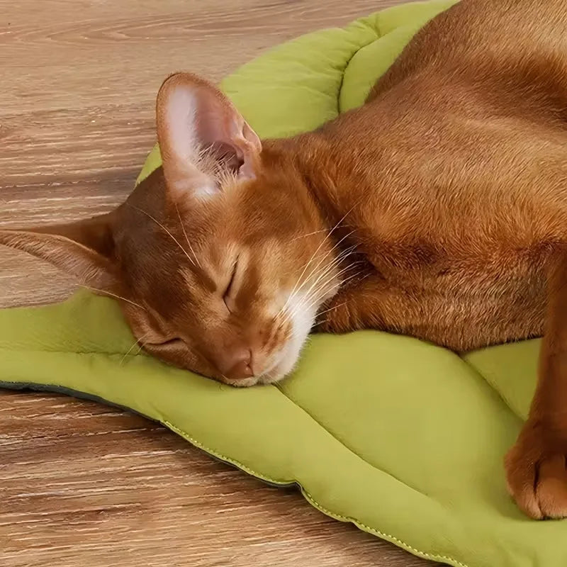 Coussin pour chat en forme de feuille — réversible et antidérapant – photo 3