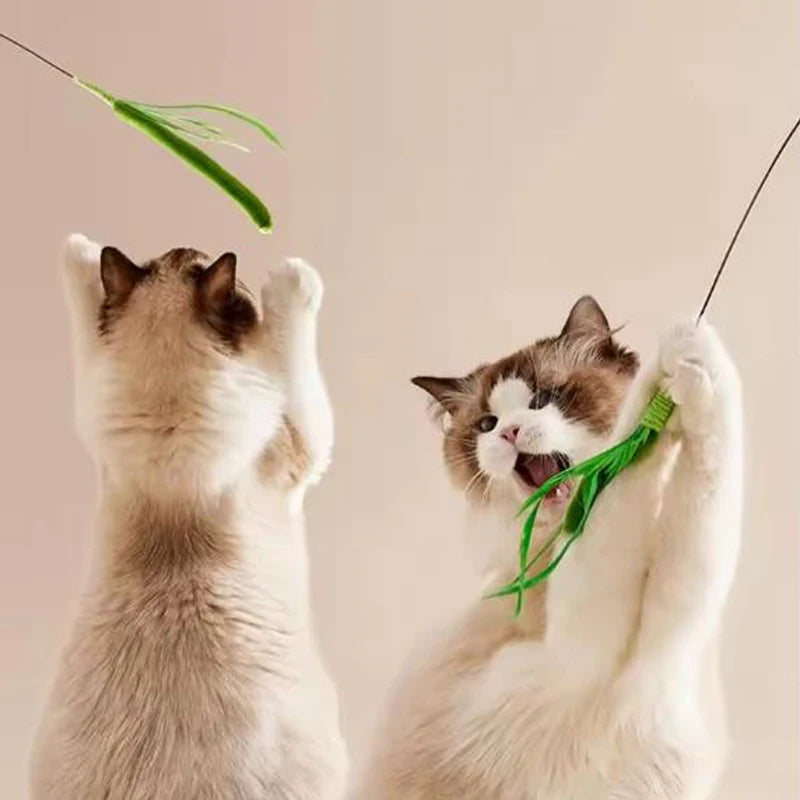 Canne à plumes pour chat — tige flexible en fil métallique – photo 5