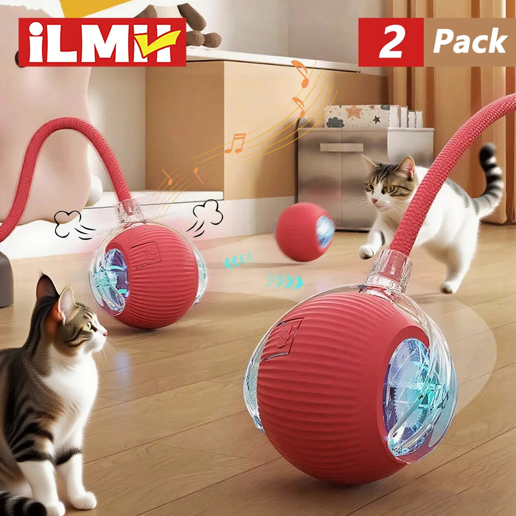 Balle interactive pour chat à roulement automatique — rechargeable