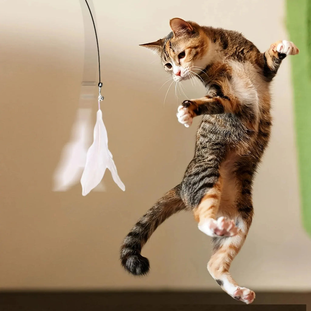 Canne à plumes pour chat avec clochette — base à ventouse – photo 6