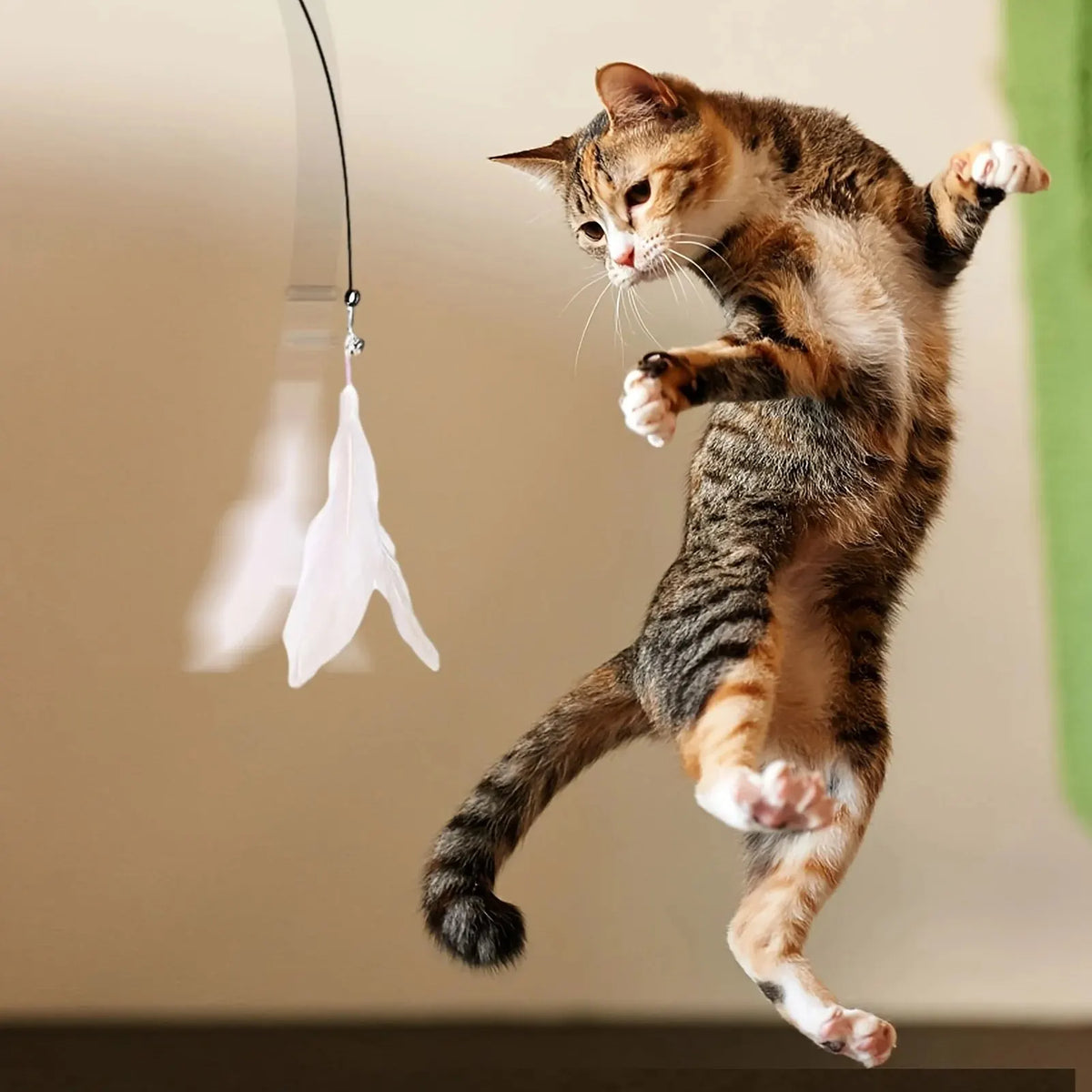 Canne à plumes pour chat avec clochette — base à ventouse – photo 6