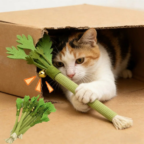 Bâton à mâchouiller pour chat à l'herbe à chat — feutre, couinant
