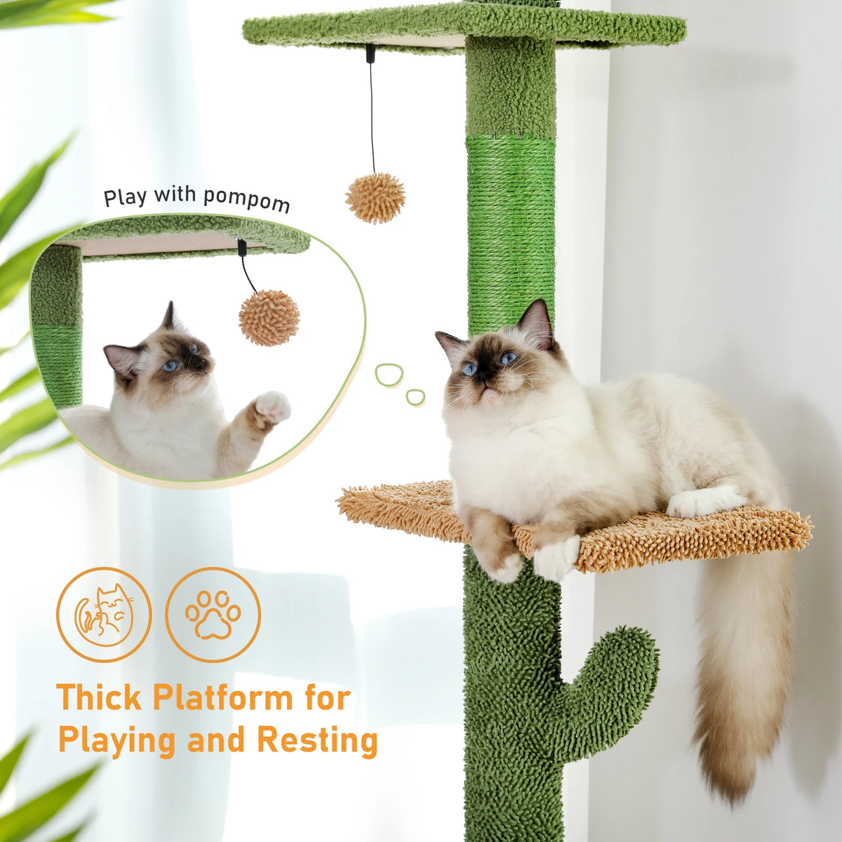 Arbre à chat cactus 5 niveaux sol-plafond — hamac et griffoir – photo 5