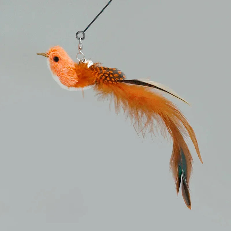 Recharges pour canne à chat — plumes, oiseaux, vers à grelot, balles – photo 67