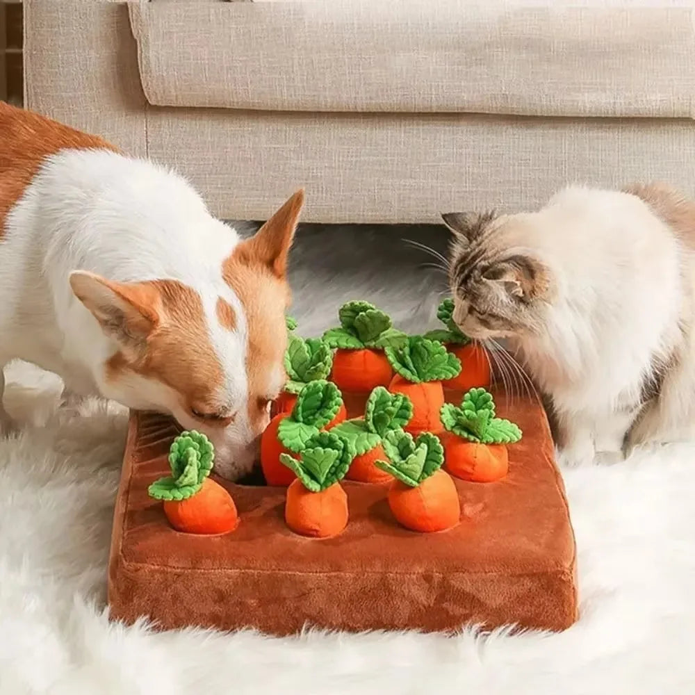 Tapis de fouille pour chat à carottes — jeu d'éveil en polaire – photo 3