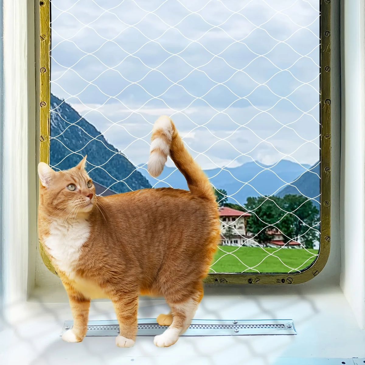 Filet de protection transparent pour chat — balcon et escalier – photo 2