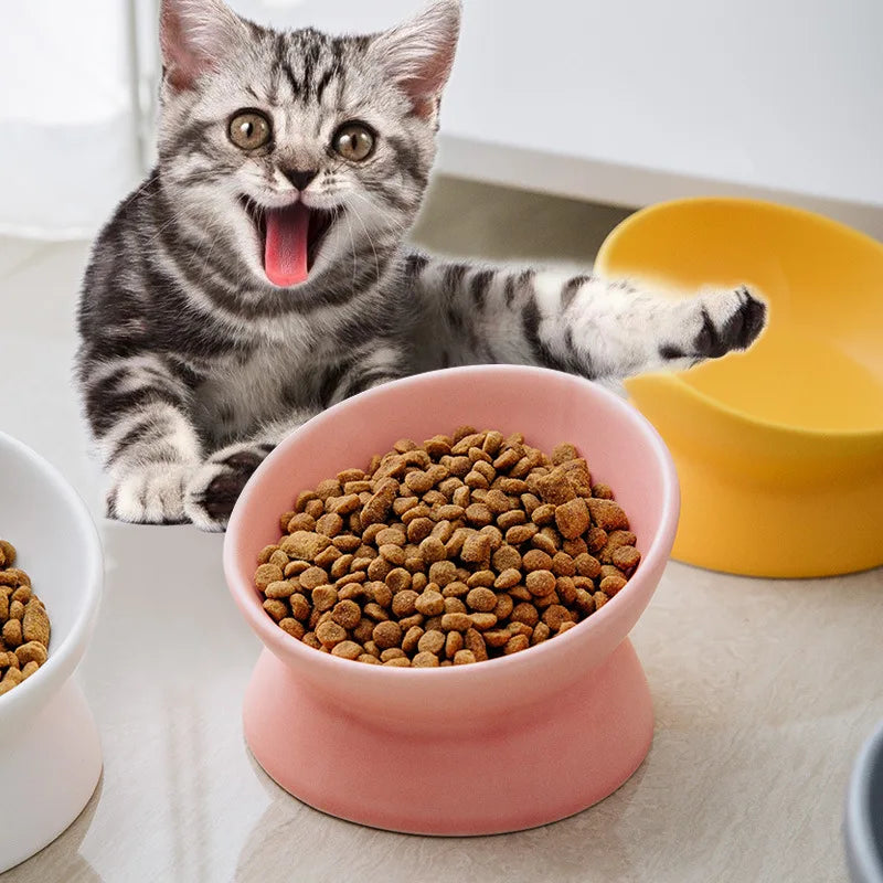 Gamelle surélevée pour chat en céramique inclinée à 15° — 6 coloris – photo 2