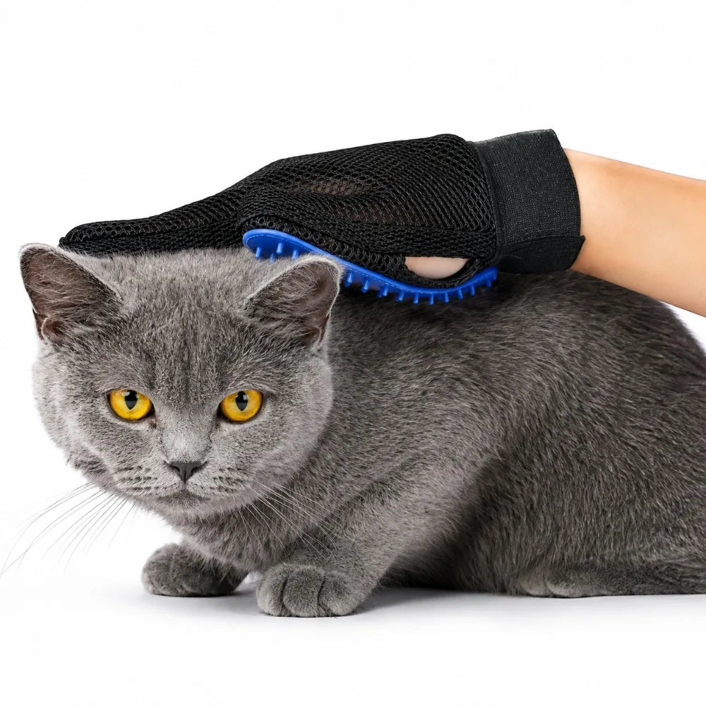 Gant de toilettage pour chat en silicone — anti-poils, lot au choix – photo 3