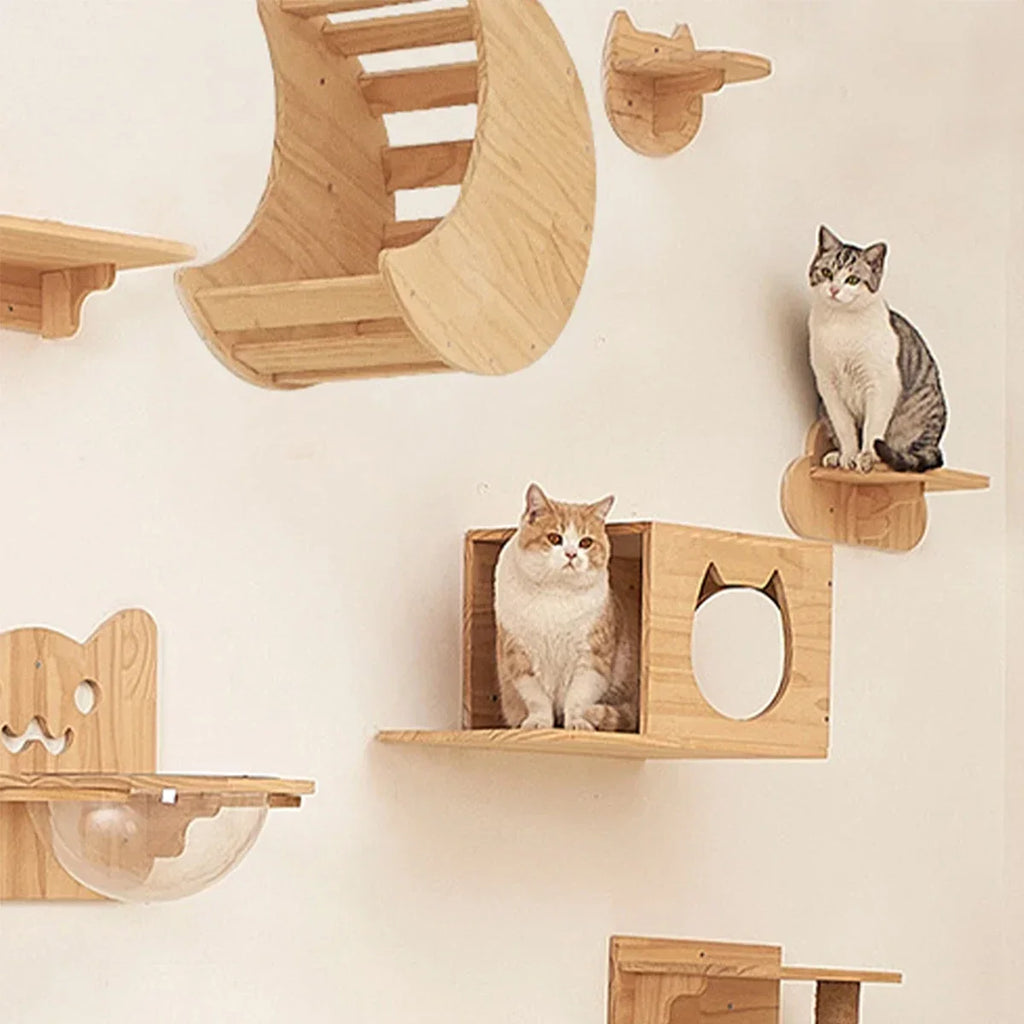 Parcours mural pour chat en bois — étagères d'escalade – photo 3