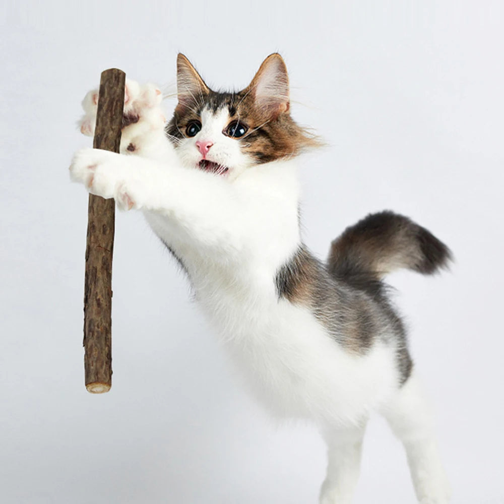 Bâtonnets de matatabi pour chat — lot de 15 ou 30, bois naturel – photo 5