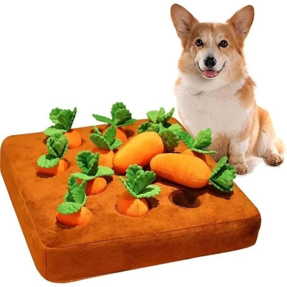 Tapis de fouille pour chat à carottes — jeu d'éveil en polaire