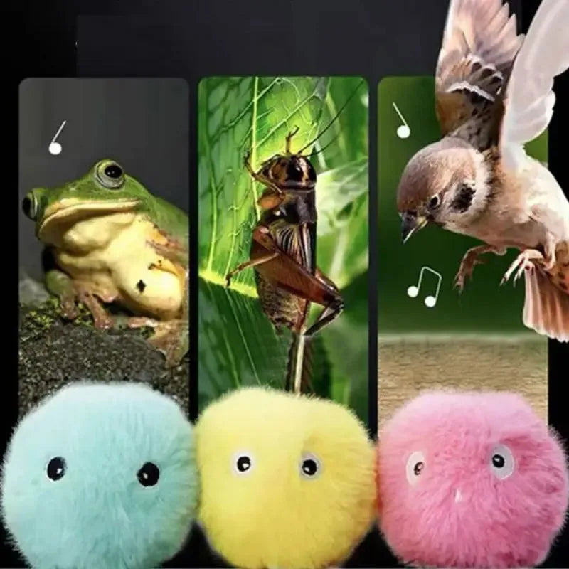 Balle sonore pour chat — chant d'oiseau, grenouille ou grillon – photo 4