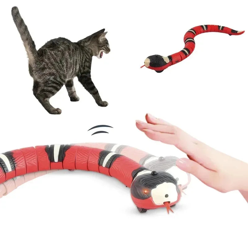 Jouet serpent interactif pour chat — rechargeable