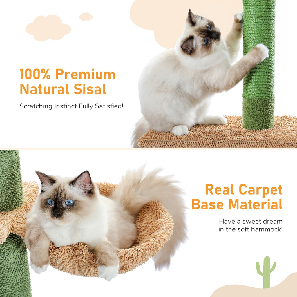 Arbre à chat cactus 5 niveaux sol-plafond — hamac et griffoir – photo 4