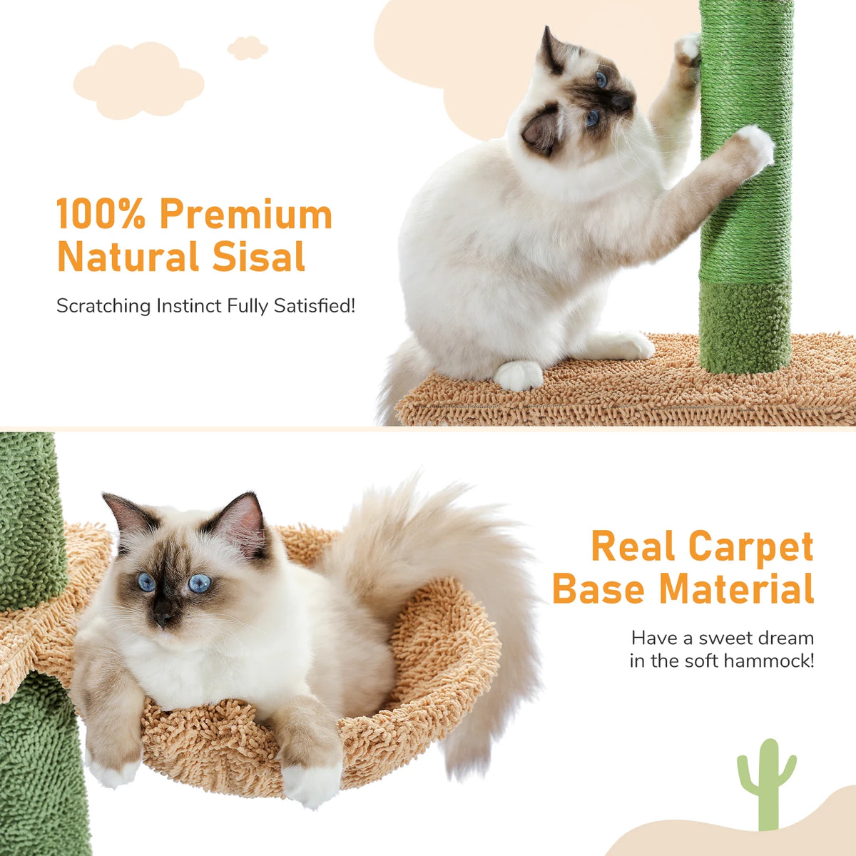 Arbre à chat cactus 5 niveaux sol-plafond — hamac et griffoir – photo 4