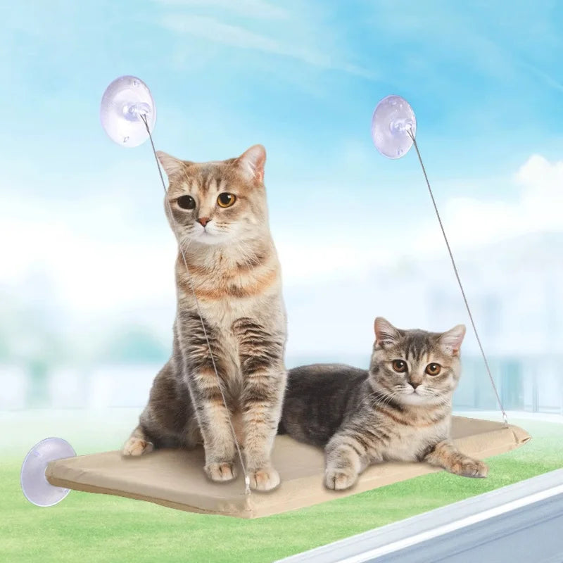Hamac pour chat à fixer à la fenêtre avec mur d'escalade — 20 kg