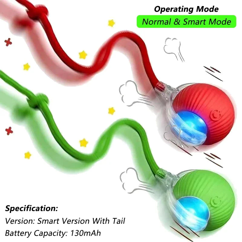 Balle interactive pour chat à roulement automatique — rechargeable – photo 25