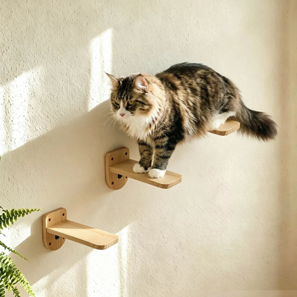 Étagères murales pour chat en bois massif — plateformes et échelle – photo 4