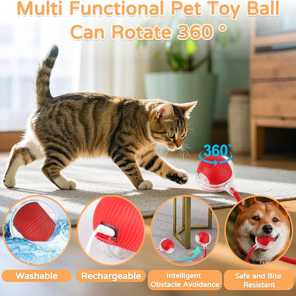 Balle interactive pour chat à roulement automatique — rechargeable – photo 4