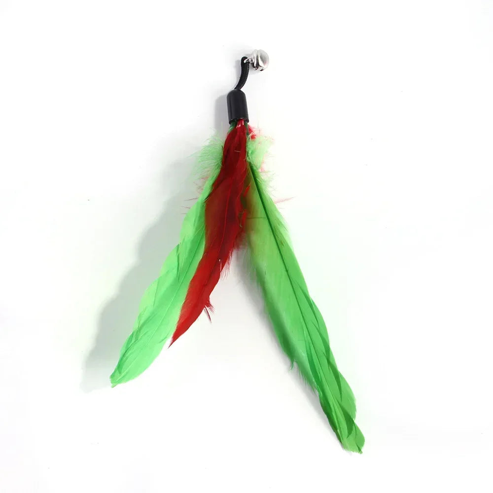 Recharges pour canne à chat — plumes, oiseaux, vers à grelot, balles – photo 62