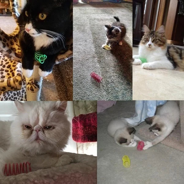 Ressorts pour chat colorés en spirale — lot de 4, 8, 16 ou 20 – photo 6