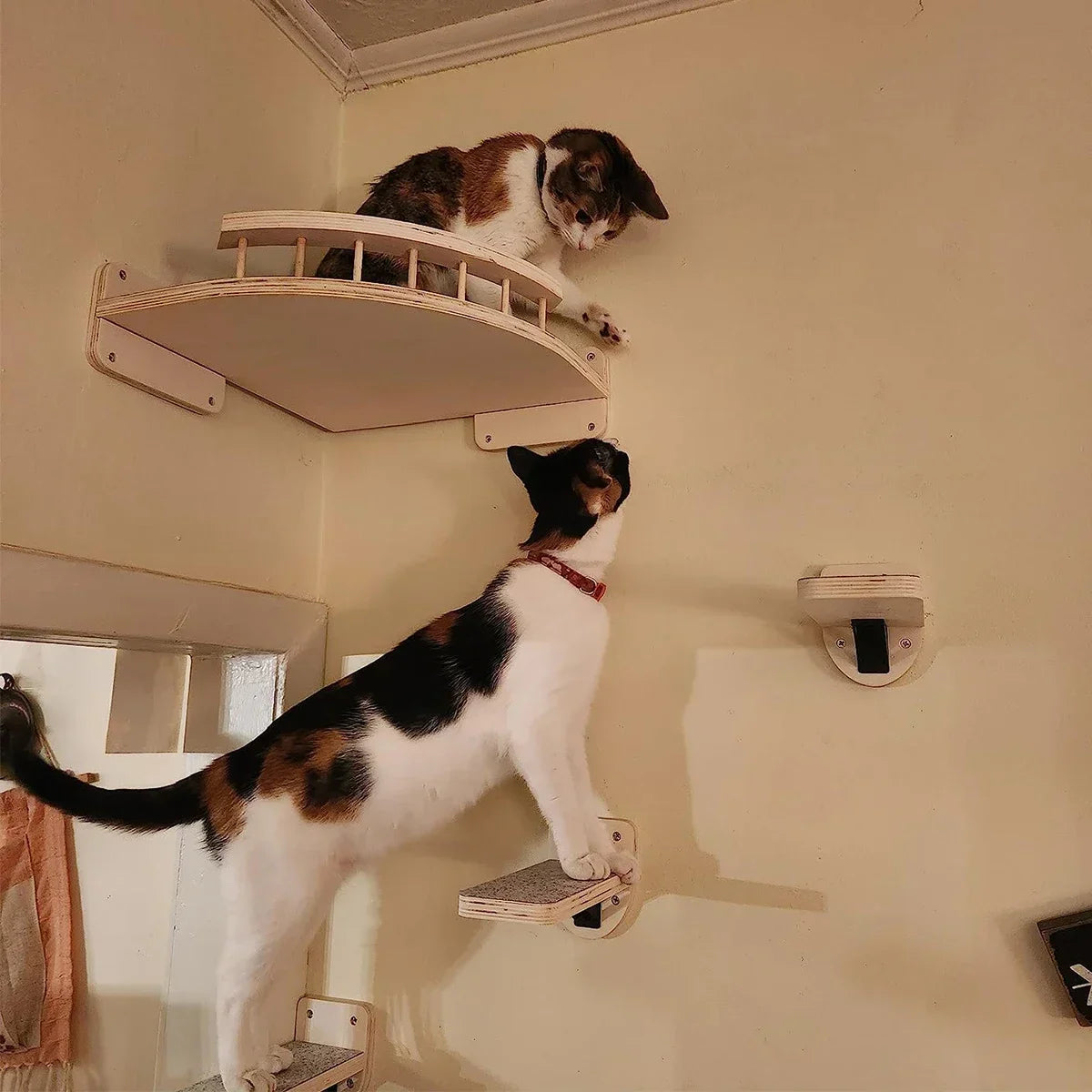 Parcours mural pour chat en bois — étagères d'escalade – photo 4