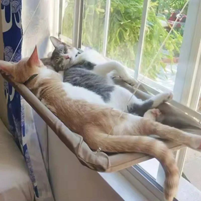 Hamac pour chat à fixer à la fenêtre avec mur d'escalade — 20 kg – photo 2